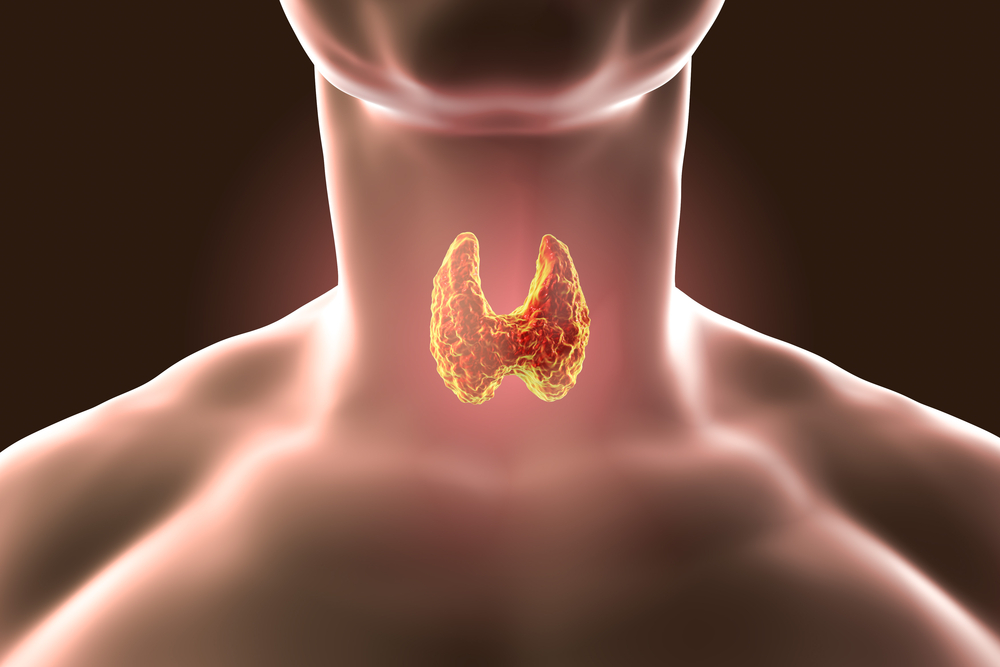 Thyroid Disease And Pregnancy